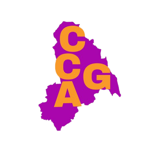 Croydon Community Action Guardians CIC